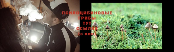 спиды Алзамай