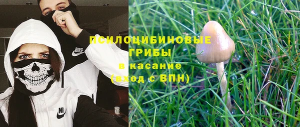 героин Алексин