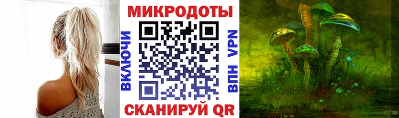 hydra   купить наркоту  Поронайск  Галлюциногенные грибы Psilocybe 